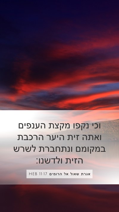 אגרת שאול אל הרומים 11:17 HEB Bible Verse Image