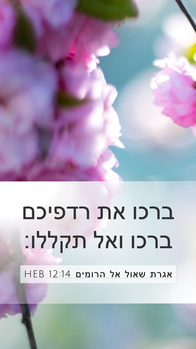 אגרת שאול אל הרומים 12:14 HEB Bible Verse Image
