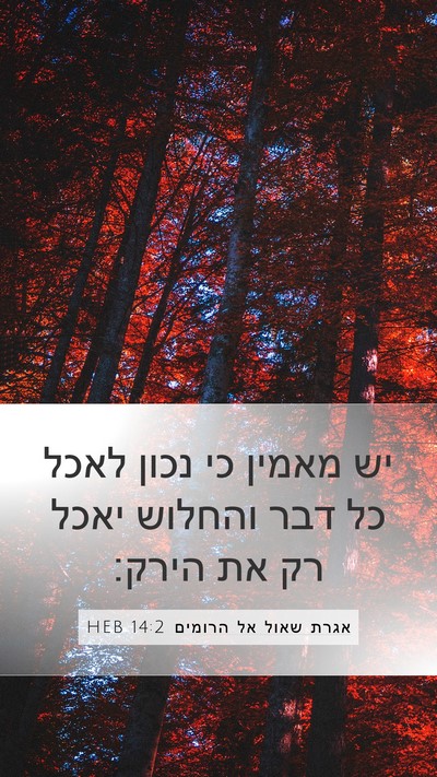 אגרת שאול אל הרומים 14:2 HEB Bible Verse Image