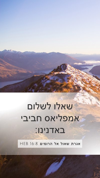 אגרת שאול אל הרומים 16:8 HEB Mobile Phone Wallpaper - שאלו לשלום אמפליאס חביבי - Mobile Bible Verse Wallpaper