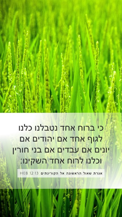 אגרת שאול הראשונה אל הקורינתים 12:13 HEB Bible Verse Image