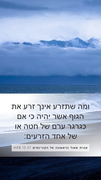 אגרת שאול הראשונה אל הקורינתים 15:37 HEB Mobile Phone Wallpaper - ומה שתזרע אינך זרע את הגוף - Mobile Bible Verse Wallpaper