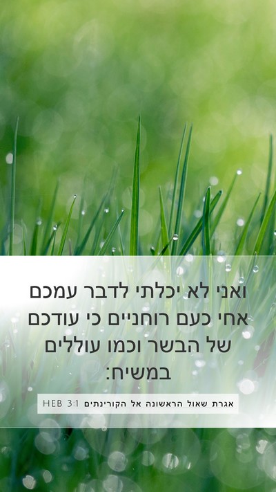 אגרת שאול הראשונה אל הקורינתים 3:1 HEB Bible Verse Image