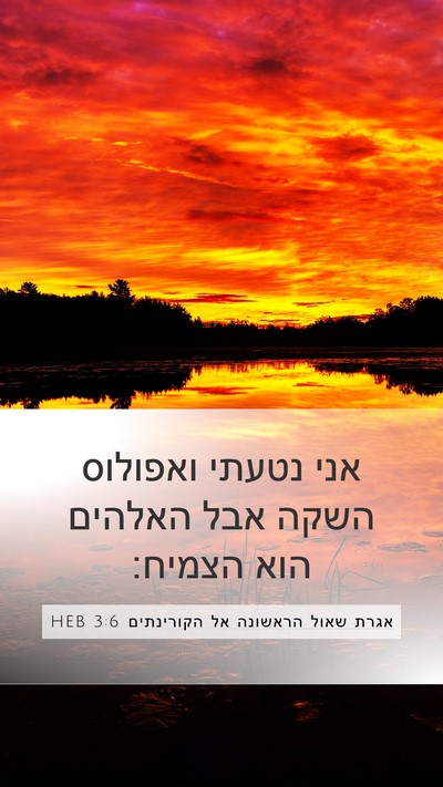 אגרת שאול הראשונה אל הקורינתים 3:6 HEB Bible Verse Image