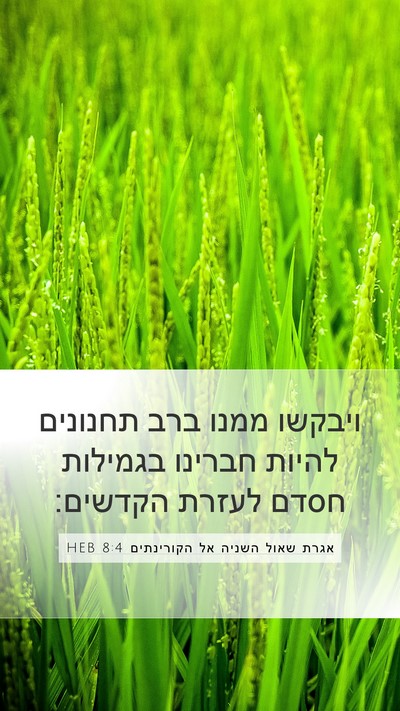 אגרת שאול השניה אל הקורינתים 8:4 HEB Bible Verse Image
