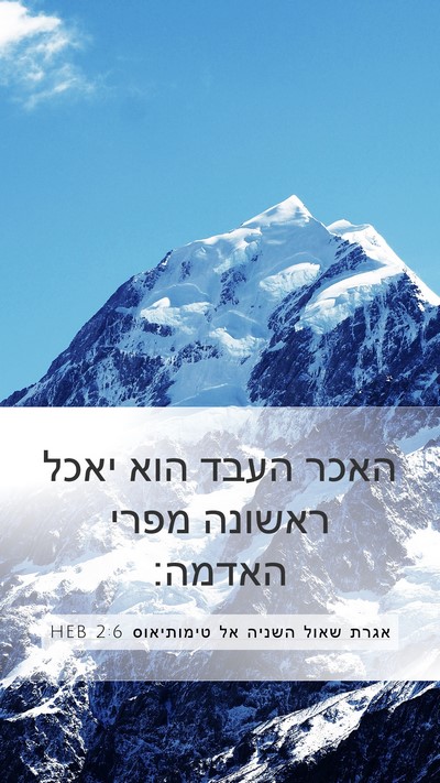 אגרת שאול השניה אל טימותיאוס 2:6 HEB Bible Verse Image