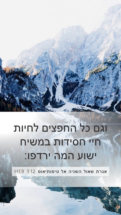 אגרת שאול השניה אל טימותיאוס 3:12 HEB Bible Verse Image