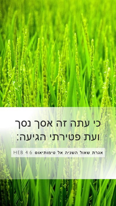 אגרת שאול השניה אל טימותיאוס 4:6 HEB Bible Verse Image