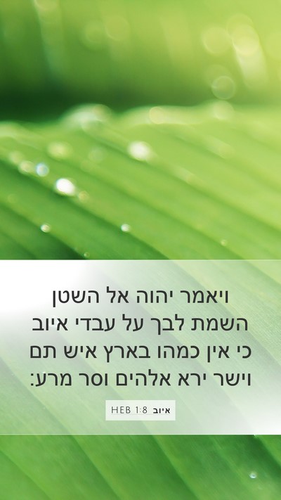 איוב 1:8 HEB Bible Verse Image