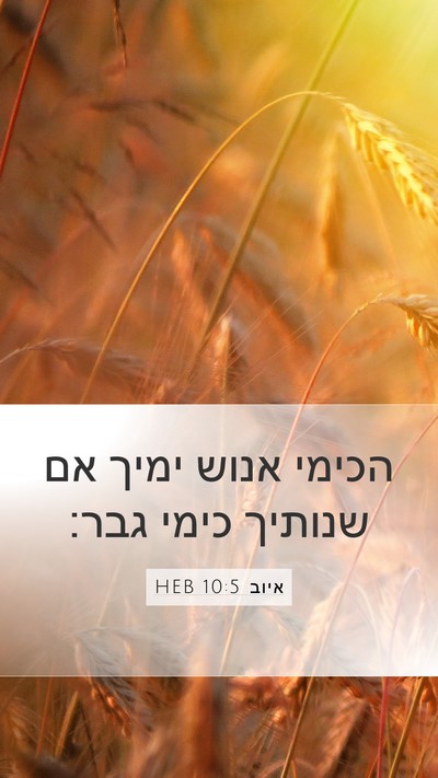 איוב 10:5 HEB Mobile Phone Wallpaper - הכימי אנוש ימיך אם שנותיך - Mobile Bible Verse Wallpaper