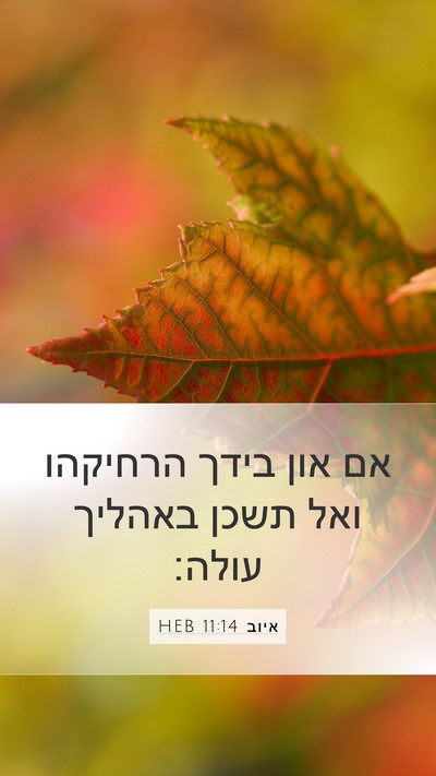 איוב 11:14 HEB Bible Verse Image