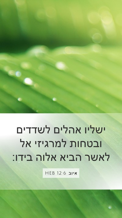 איוב 12:6 HEB Bible Verse Image