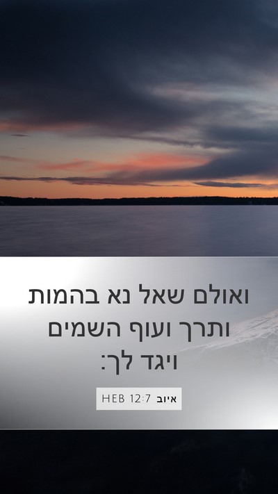 איוב 12:7 HEB Bible Verse Image