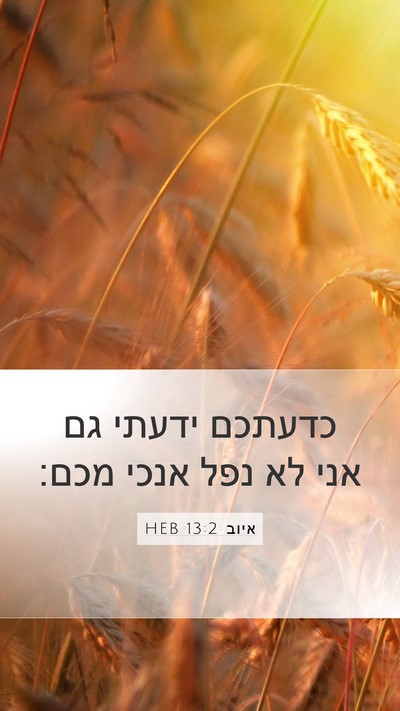 איוב 13:2 HEB Bible Verse Image