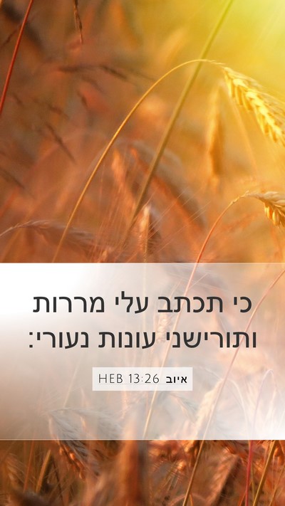 איוב 13:26 HEB Bible Verse Image