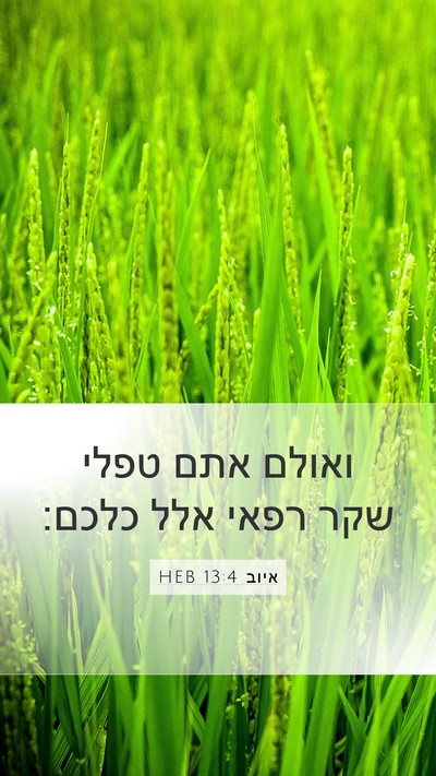 איוב 13:4 HEB Bible Verse Image