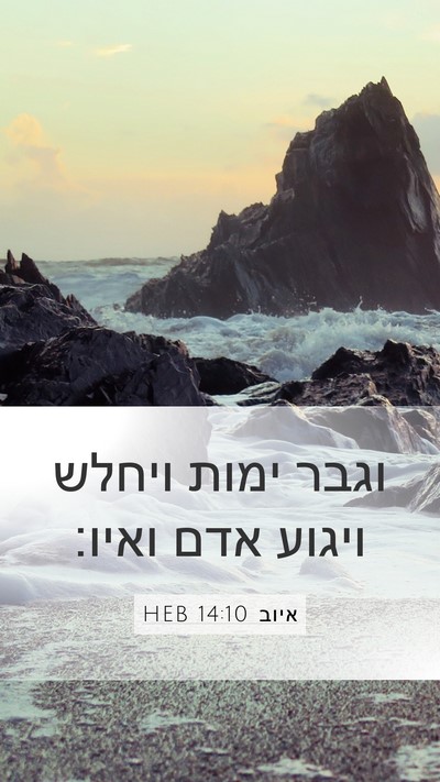 איוב 14:10 HEB Bible Verse Image