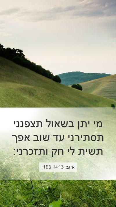 איוב 14:13 HEB Bible Verse Image