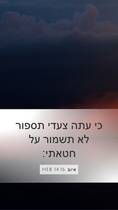 איוב 14:16 HEB Bible Verse Image