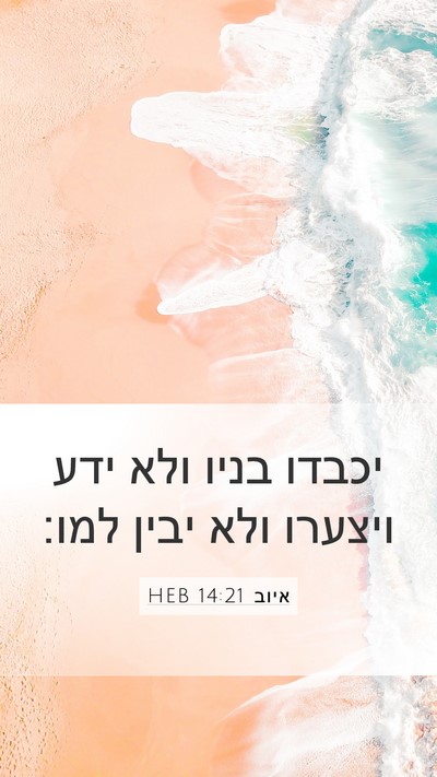 איוב 14:21 HEB Bible Verse Image