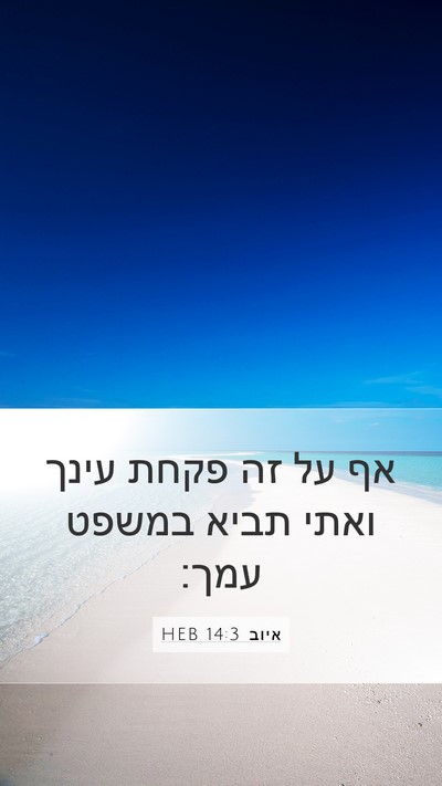 איוב 14:3 HEB Bible Verse Image