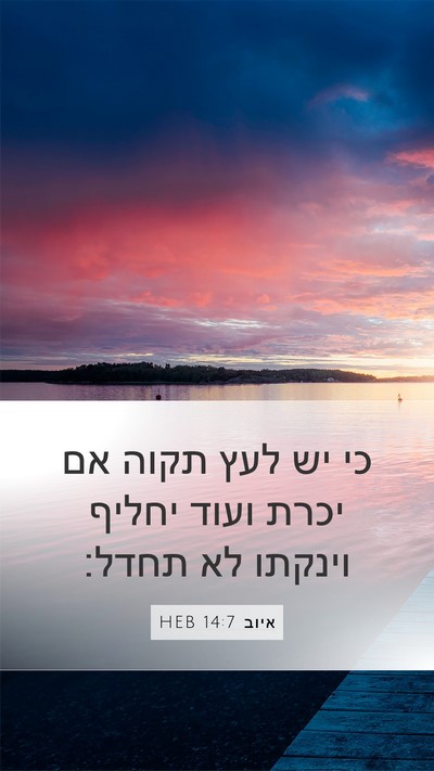 איוב 14:7 HEB Bible Verse Image