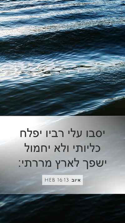 איוב 16:13 HEB Bible Verse Image