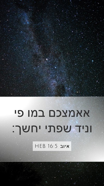 איוב 16:5 HEB Bible Verse Image