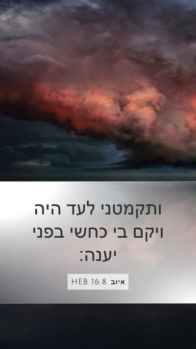 איוב 16:8 HEB Bible Verse Image
