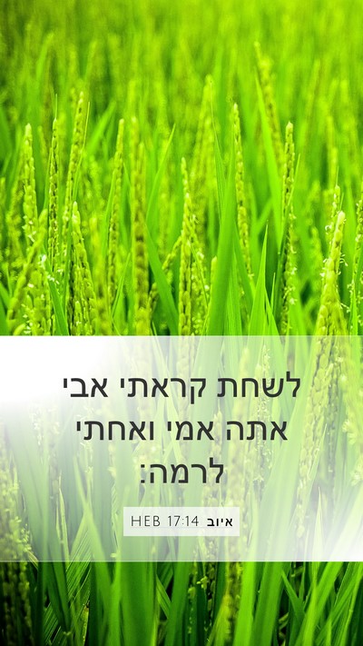 איוב 17:14 HEB Bible Verse Image