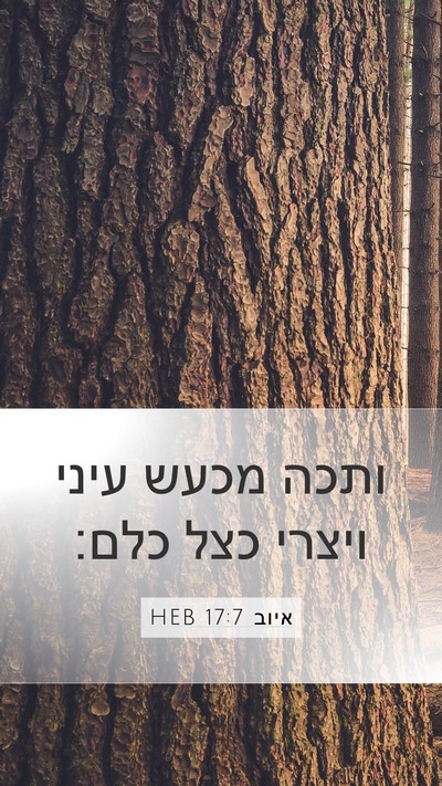 איוב 17:7 HEB Bible Verse Image