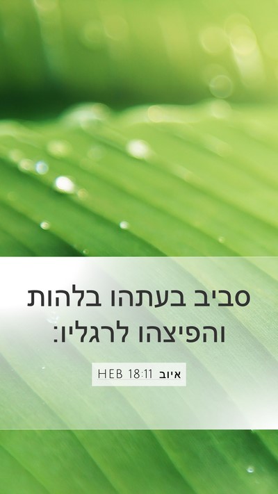 איוב 18:11 HEB Bible Verse Image