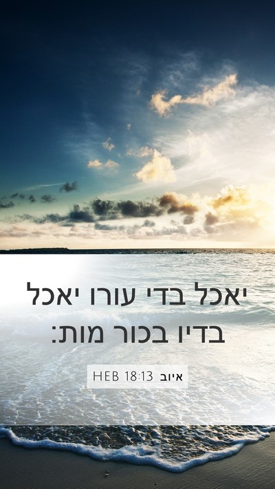 איוב 18:13 HEB Bible Verse Image