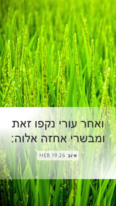 איוב 19:26 HEB Bible Verse Image