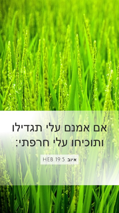 איוב 19:5 HEB Bible Verse Image