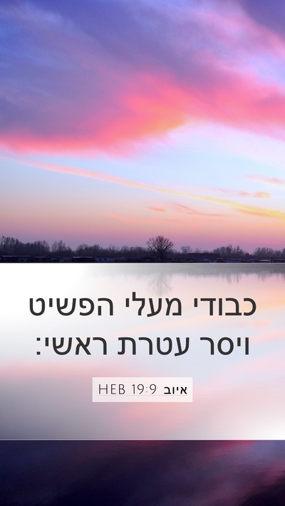 איוב 19:9 HEB Bible Verse Image