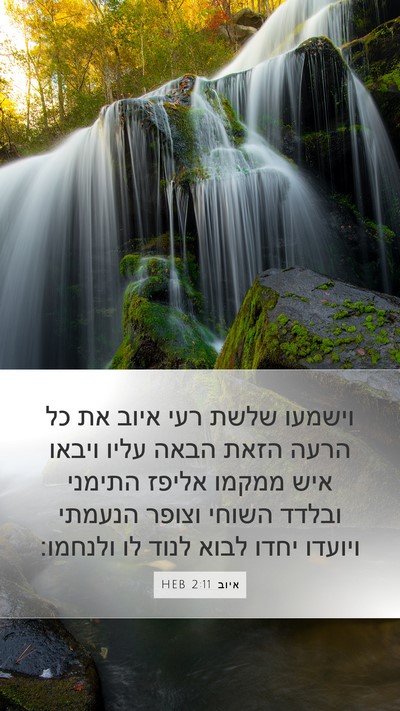 איוב 2:11 HEB Bible Verse Image