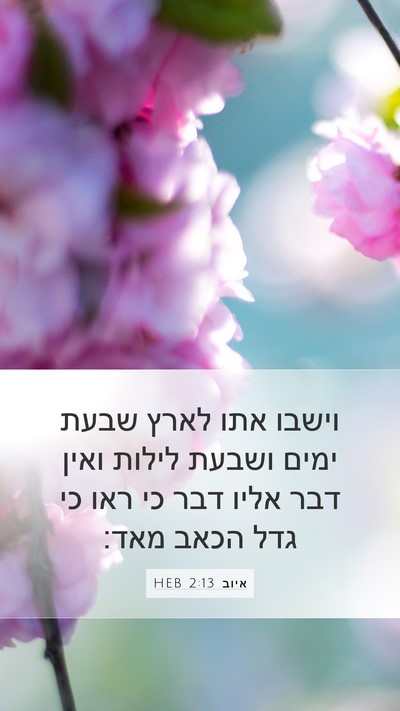 איוב 2:13 HEB Bible Verse Image