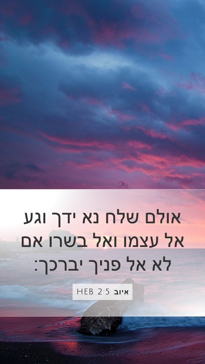 איוב 2:5 HEB Bible Verse Image