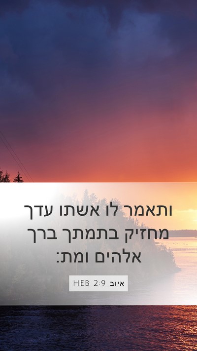 איוב 2:9 HEB Bible Verse Image