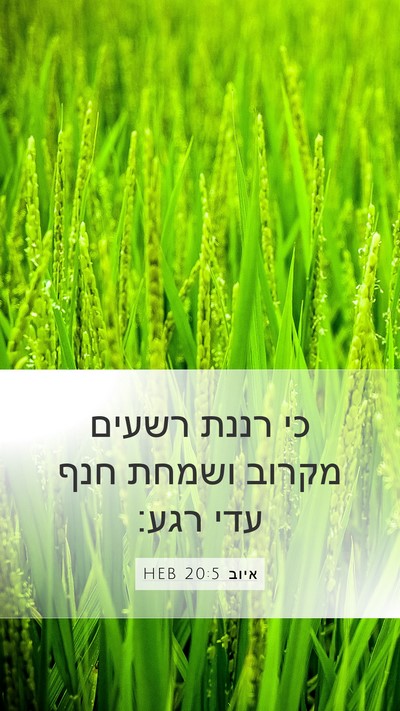 איוב 20:5 HEB Bible Verse Image