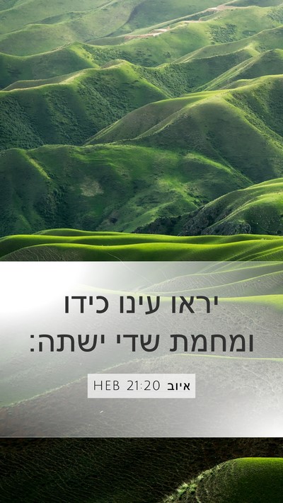 איוב 21:20 HEB Bible Verse Image