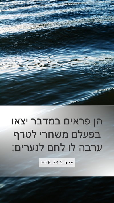 איוב 24:5 HEB Mobile Phone Wallpaper - הן פראים במדבר יצאו בפעלם - Mobile Bible Verse Wallpaper