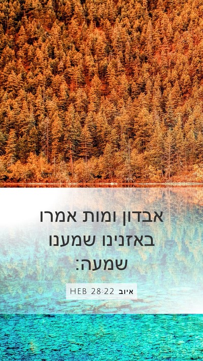 איוב 28:22 HEB Bible Verse Image