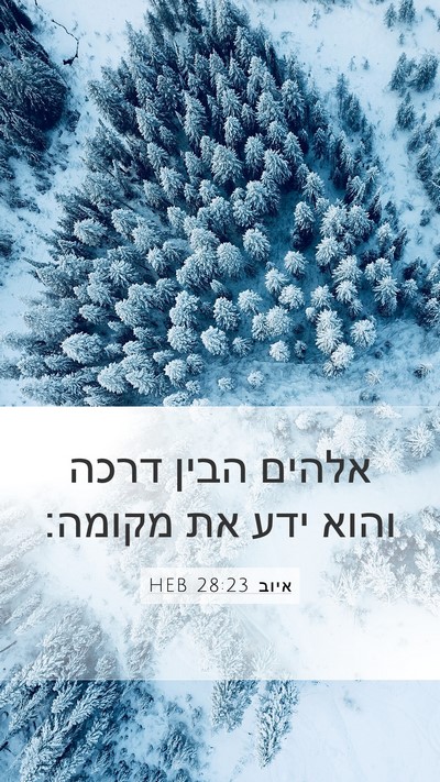 איוב 28:23 HEB Mobile Phone Wallpaper - אלהים הבין דרכה והוא ידע את - Mobile Bible Verse Wallpaper