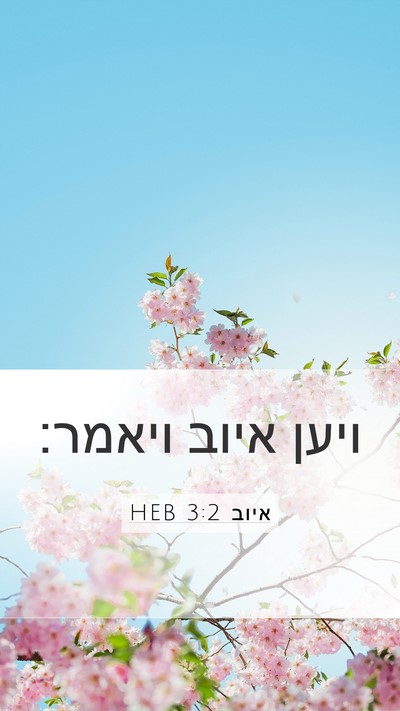 איוב 3:2 HEB Mobile Phone Wallpaper - ויען איוב - Mobile Bible Verse Wallpaper