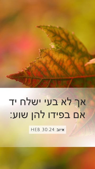 איוב 30:24 HEB Mobile Phone Wallpaper - אך לא בעי ישלח יד אם בפידו - Mobile Bible Verse Wallpaper