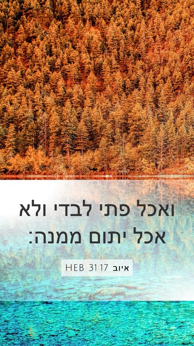 איוב 31:17 HEB Bible Verse Image