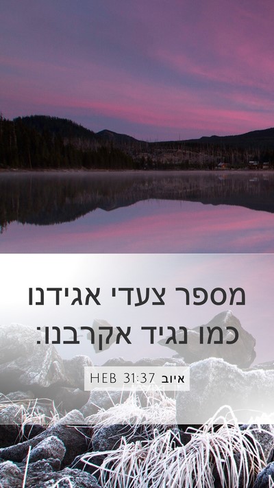 איוב 31:37 HEB Bible Verse Image