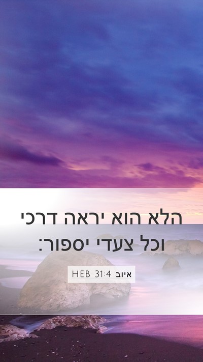 איוב 31:4 HEB Bible Verse Image